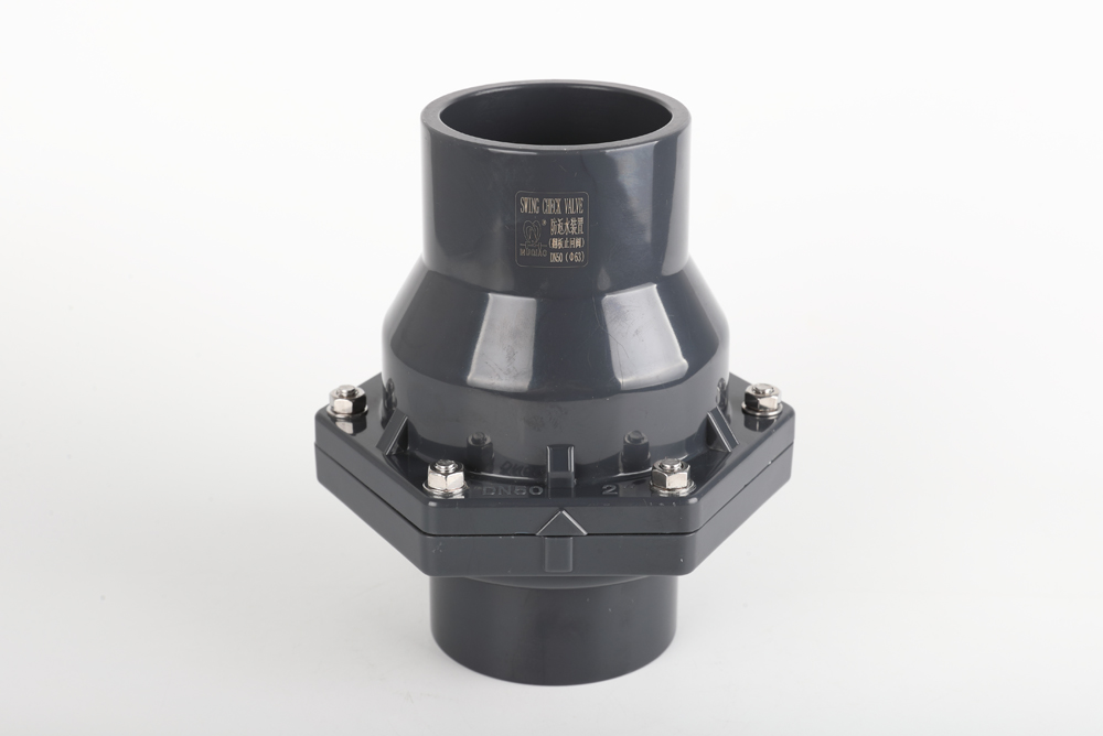 胡市镇翻板式止回阀