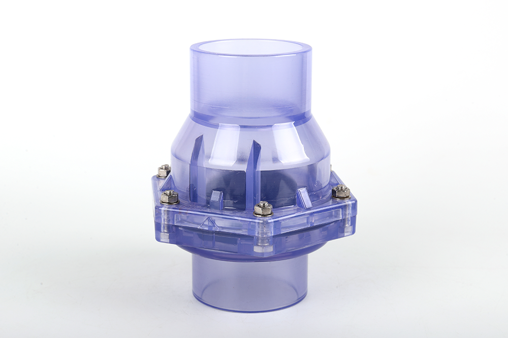 胡市镇透明翻板式止回阀